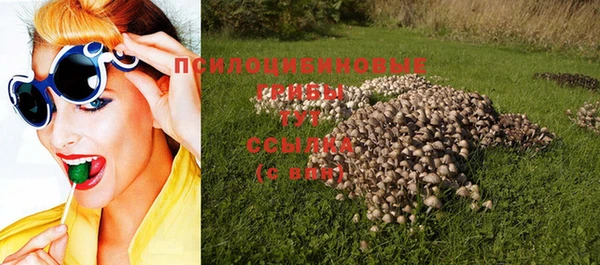 не бодяженный Ельня