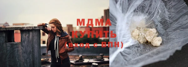 сатива Новозыбков