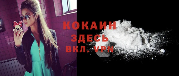гашик Елизово