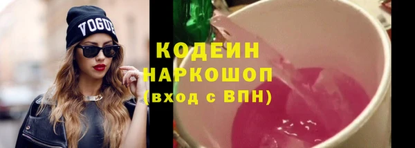 гашик Елизово