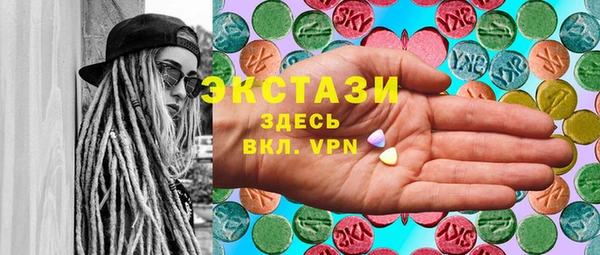 сатива Новозыбков
