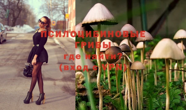 мефедрон Новодвинск