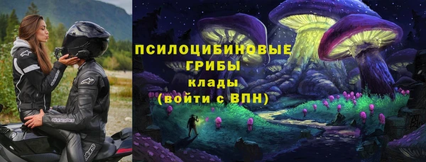 не бодяженный Ельня