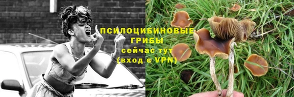 не бодяженный Ельня