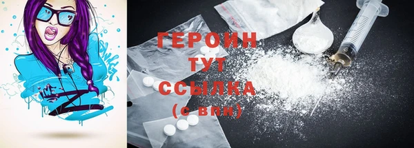 сатива Новозыбков
