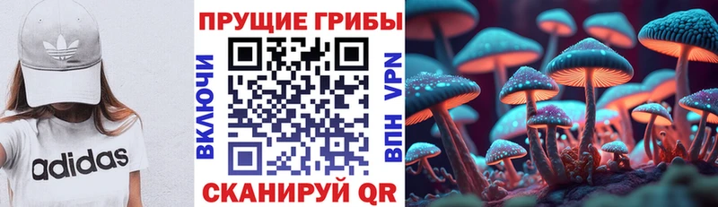Псилоцибиновые грибы мицелий  магазин    мега как войти  Плавск 